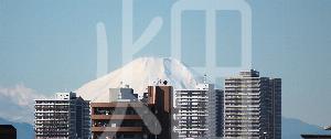 そざい畑,素材畑,都内から望む富士山